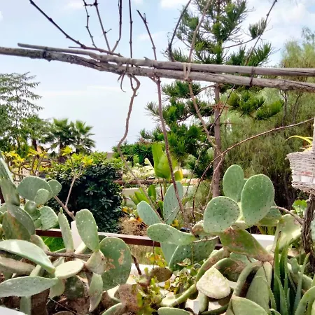 Lomo Del Balo * Guia de Isora (Tenerife)