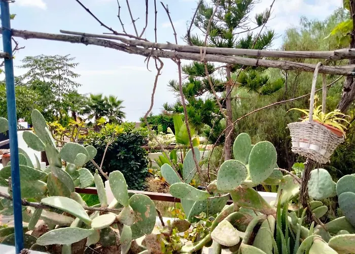 Lomo Del Balo * Guia de Isora (Tenerife)